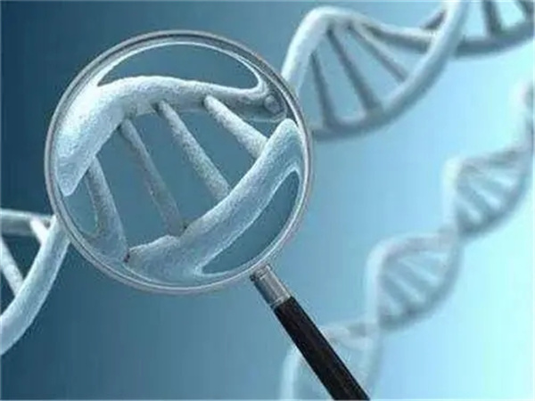 试管婴儿移植前的免疫检查：为胚胎着床保驾护航