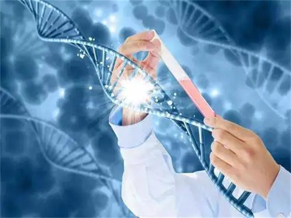2025年重庆市试管婴儿排名比较好的医院有哪几家？