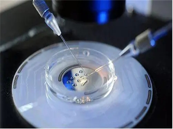 试管婴儿冻囊胚5ac和6ab哪个质量更好更容易成功？